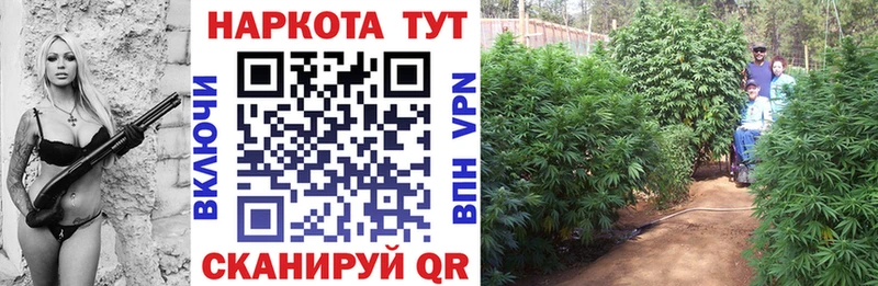 Где купить наркотики Чебоксары Cocaine  СК  Каннабис  Меф 