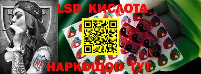 mdpv Новодвинск