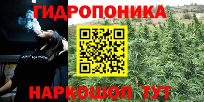 mdma Новозыбков