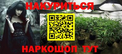 mdpv Новодвинск