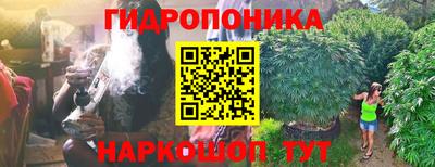 mdma Новозыбков