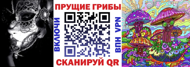 Псилоцибиновые грибы мухоморы  площадка формула  Чебоксары 