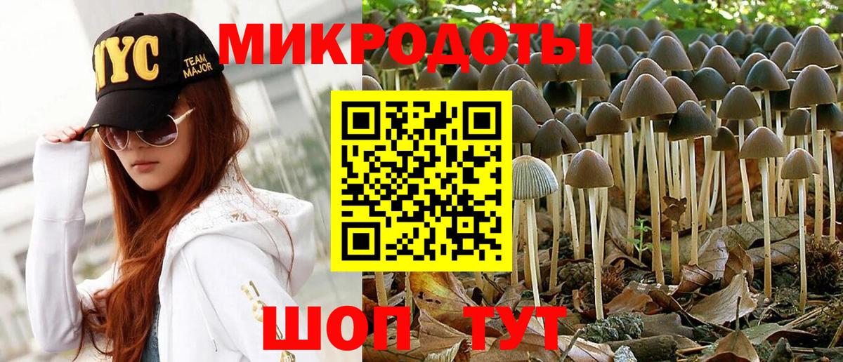 Галлюциногенные грибы Cubensis Чебоксары