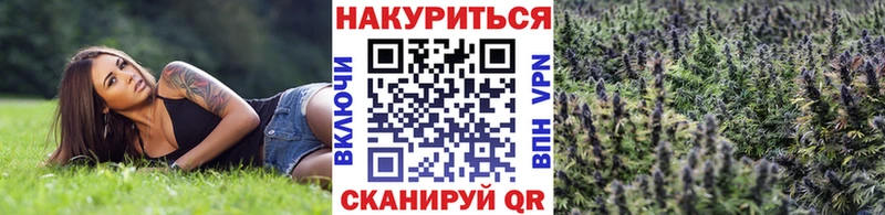 сайты даркнета как зайти Чебоксары Канабис гибрид